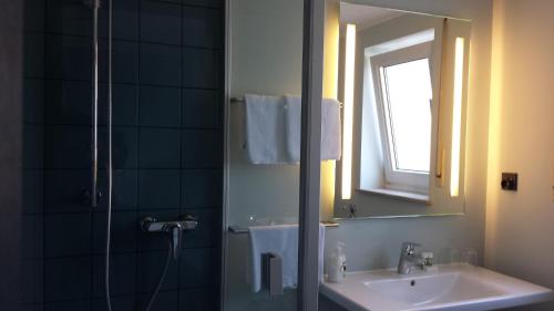 德赖艾希亨利酒店的浴室配有盥洗盆和带镜子的淋浴