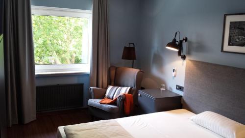 德赖艾希亨利酒店的酒店的客房 - 带一张床、椅子和窗户