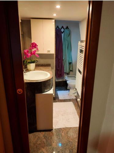 费尼斯Alpine house CIN-0014的一间带水槽和卫生间的浴室