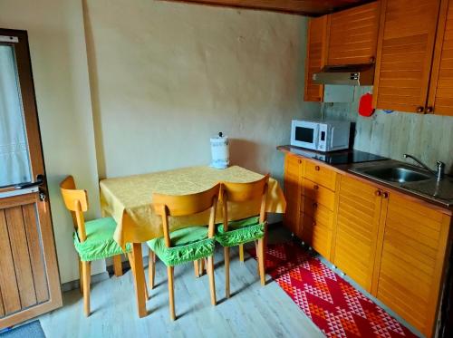 费尼斯Alpine house CIN-0014的厨房配有桌椅和微波炉。