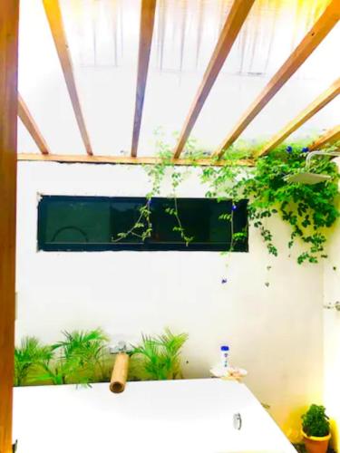 纳苏格布Rancho Oco Mahogany Loft Type Villa的浴室设有墙上植物厕所