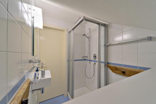 蓬特雷西纳Chesa Giandains - Pontresina的带淋浴和盥洗盆的浴室