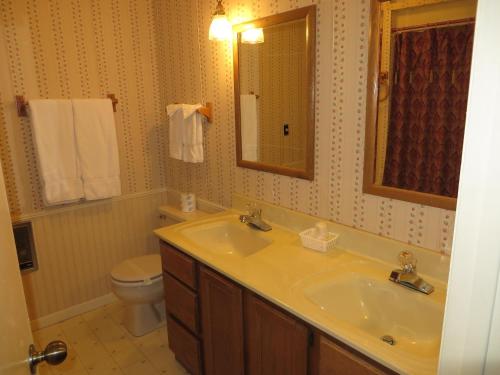 伊格尔里弗Travelers Inn Motel的一间带水槽、卫生间和镜子的浴室
