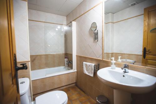 科尔多瓦科雷拉广场公寓的一间带水槽、卫生间和镜子的浴室