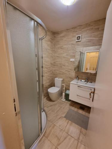 罗加斯卡斯拉提纳Apartma Vrtnica, Vila Golf的带淋浴、卫生间和盥洗盆的浴室