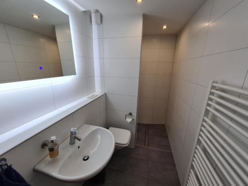 曼海姆Theox Apartment No 6 Royal Blue für 4 Personen的一间带水槽、镜子和卫生间的浴室