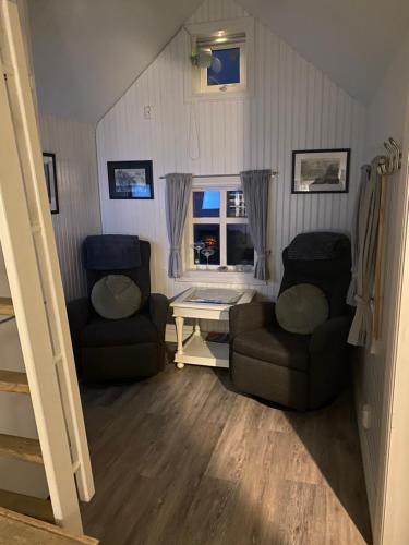 雷讷Olenilsøya Mini Villa的客厅配有两把椅子和一张桌子