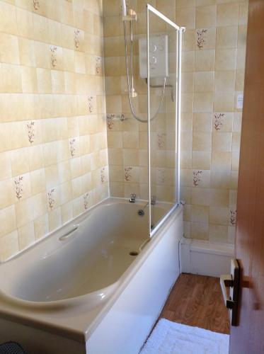 凯尔索黑天鹅酒店 的设有带浴缸和淋浴的浴室。
