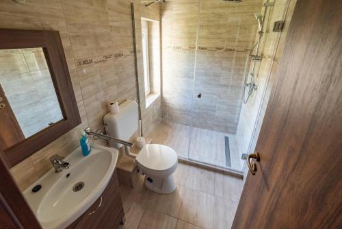 希欧福克Golden Beach Apartments Siófok的带淋浴、卫生间和盥洗盆的浴室