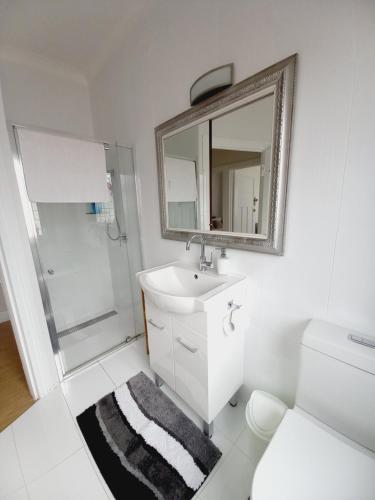 沃纳姆堡Ocean Aspect and Central to CBD - CoSheirm Apartments On Merri的一间带水槽、淋浴和镜子的浴室