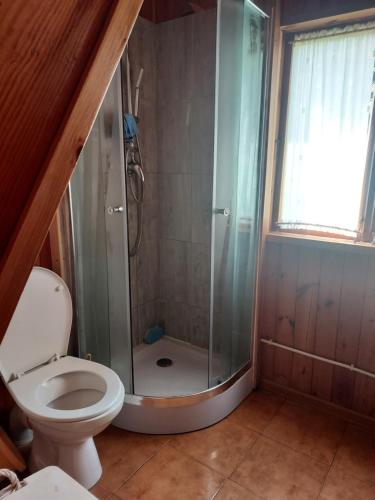 WorytyDomek letniskowy Woryty的带淋浴和卫生间的浴室