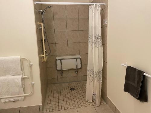 惠灵顿Ascot Motor Lodge的浴室内配有淋浴帘。