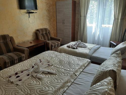巴统托卡普拉斯酒店的酒店客房设有两张床和窗户。
