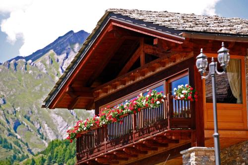 喇沙莱斯孔贝斯酒店的一个带鲜花和山脉的阳台