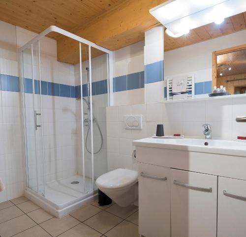 SeytrouxKern的带淋浴、卫生间和盥洗盆的浴室
