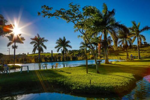 埃斯梅拉达斯Quatro Estações Pesqueiro e Hotel Fazenda的棕榈树和阳光灿烂的游泳池