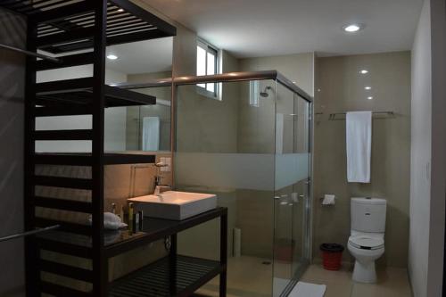 夸察夸尔科斯Hotel Torres Eugenia的带淋浴、盥洗盆和卫生间的浴室