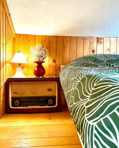 OrtnekFamily Peace Chalet Brinovska & Scenic Mt Views的一间卧室配有一张床、一台电视和一盏灯