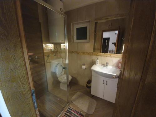 LedineVELOS的带淋浴、卫生间和盥洗盆的浴室