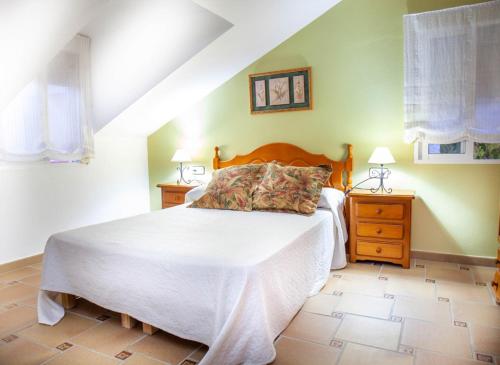 扎霍拉Hacienda El Romeral的一间卧室设有一张大床和两个床头柜
