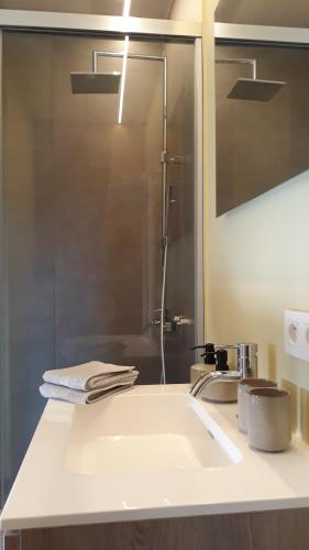 布鲁日B&B Valant的浴室的柜台设有水槽和镜子