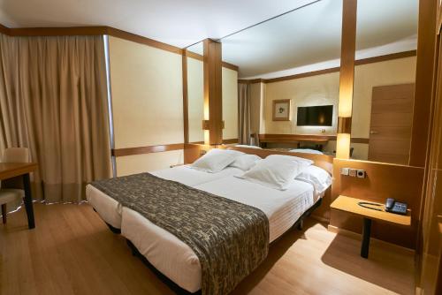 塞哥维亚洛斯阿科斯酒店的酒店客房设有一张大床和一台电视。