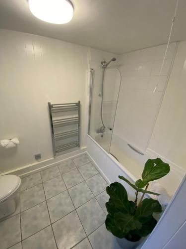 毛斯尔Cheerful one bedroom cottage in Mousehole.的带淋浴、卫生间和植物的浴室