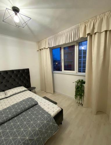 奥拉迪亚TALINA Apartament的一间卧室设有一张床和一个大窗户
