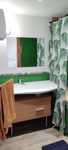 圣佩赖Studio Les Cadichons de la Grange的一间带水槽和绿色墙壁的浴室