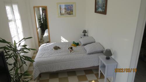 Sainte-Geneviève-lès-Gasnyle tilleul的一间卧室,床上有两只狗
