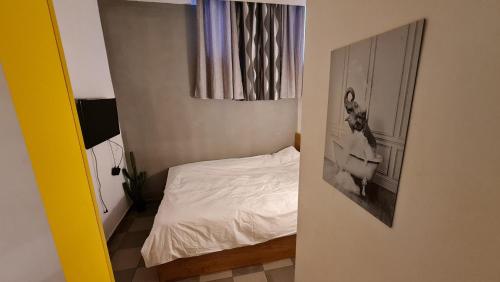 耶路撒冷SPACE ART BOUTIQUE Downtown的小卧室配有一张床和一张狗的照片