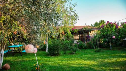 安塔利亚Masal Evimiz的一个带野餐桌和房子的院子