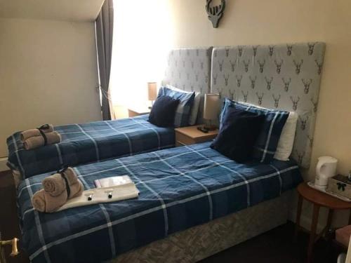 威克Harbour bridge, Camps bar的一间卧室设有两张带蓝色床单的床和窗户。