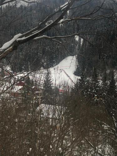 阿祖加Garsoniera La Munte的雪地中滑雪场的景色