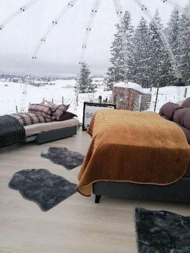 韦尔达尔Stiklestad Eye的一间卧室设有两张床,被雪覆盖的树木覆盖