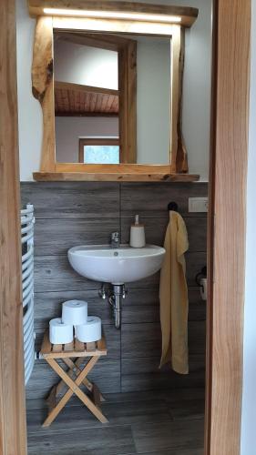 Gorenja VasHealing Farm的一间带水槽和镜子的浴室