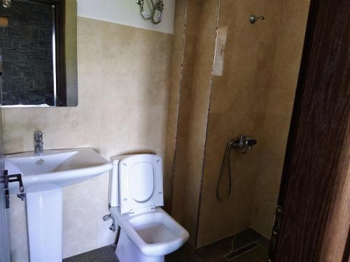 佩尔梅特Chri Chri Guesthouse的一间带水槽、卫生间和淋浴的浴室
