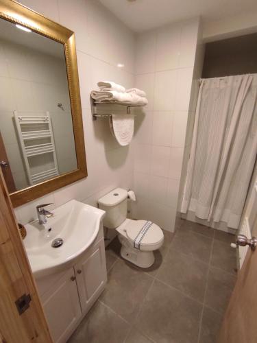 蓬塔阿雷纳斯耐力公寓式酒店的一间带卫生间、水槽和镜子的浴室