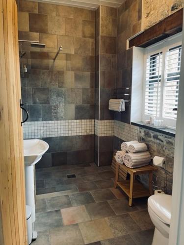 兰代洛Gardener's Cwtch, Llwynhelig Manor的带淋浴、盥洗盆和卫生间的浴室