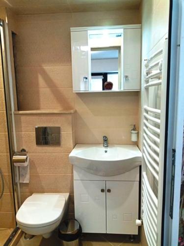 鲁塞Студио 55的一间带水槽和卫生间的小浴室