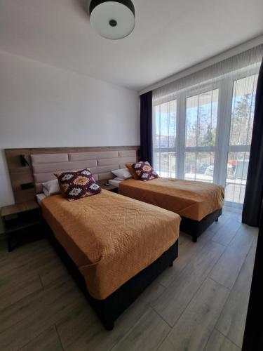 别尔斯克-比亚拉Apartament Hala Kamienicka的一间卧室设有两张床和窗户。