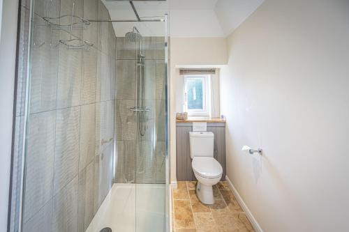 阿布罗斯Cliff Walk Cottage的一间带卫生间和玻璃淋浴间的浴室