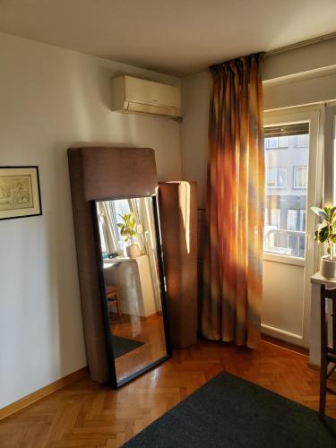 贝尔格莱德Cozy room in appartment, with shared bathroom,downtown Belgrade的客厅的镜子,窗户