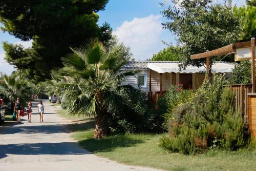 圣西普里安MOBIL-HOME NEUF 2021 3CH 34 M2的棕榈树的房子,人们沿着街道走