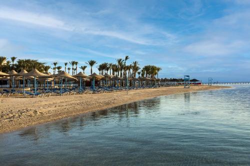 加利布港Marina Resort Port Ghalib, a member of Radisson Individuals的海滩上设有椅子和遮阳伞,棕榈树