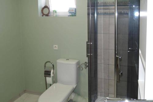 斯维诺乌伊希切Holiday flat, Swinoujscie的一间带卫生间和玻璃淋浴间的浴室