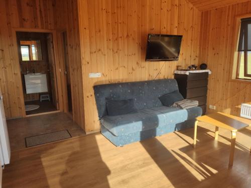 塞尔福斯Bright and Peaceful Cabin with Views & Hot Tub的客厅配有蓝色的沙发和电视