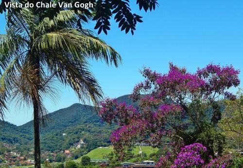 特雷索波利斯Chalés Van Gogh的山前的棕榈树和紫色花