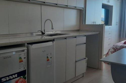 乌斯怀亚YOPEN Monoambiente的厨房配有白色橱柜、水槽和洗碗机。