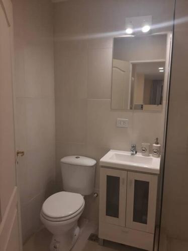 乌斯怀亚YOPEN Monoambiente的白色的浴室设有卫生间和水槽。